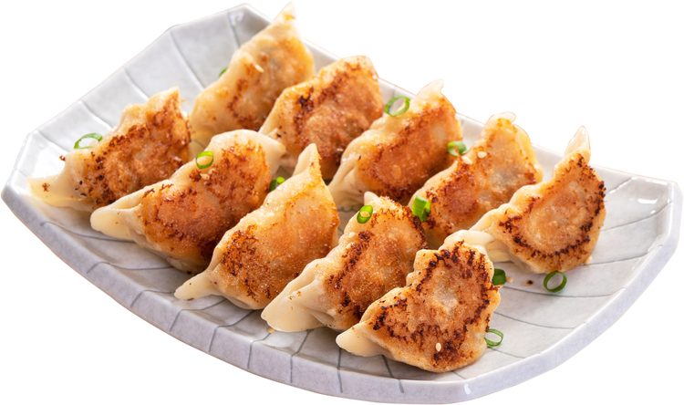 Pan-fried gyoza dumpling jiaozi in a plate isolated on white